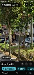 Adelphi Park Estate (D20), Shop House #555306171
